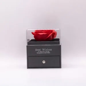 Coffret Rose Éternelle et Collier - Cadeau Romantique Intemporel