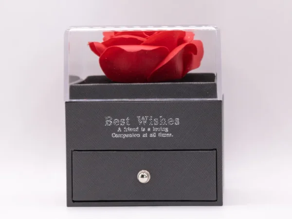 Coffret Rose Éternelle et Collier - Cadeau Romantique Intemporel