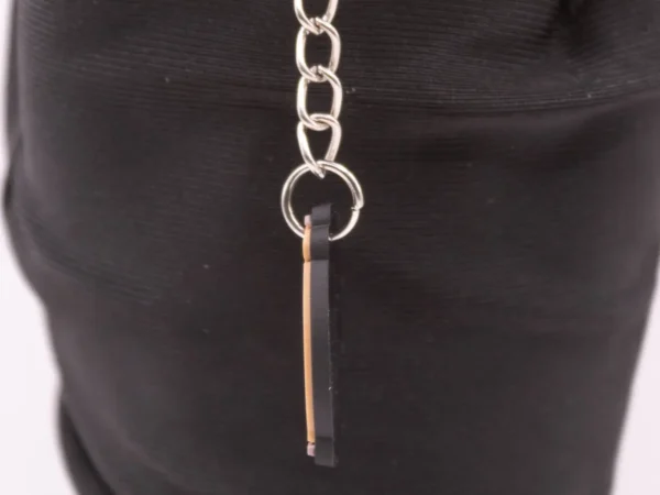 Duo de Porte-clés Capybaras Marron en Plastique