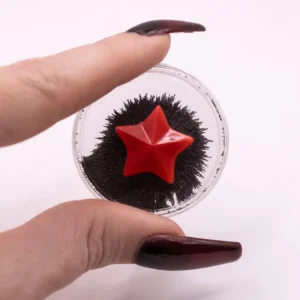 Étoile aimantée noire et rouge pour sculpture sur ferrofluide