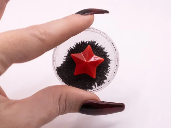 Étoile aimantée noire et rouge pour sculpture sur ferrofluide
